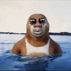 物是人非事事休