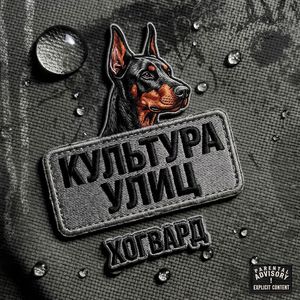 КУЛЬТУРА УЛИЦ