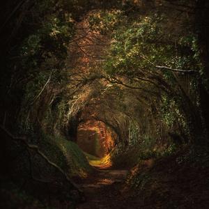 The Morning Ballad Of Simple Prince