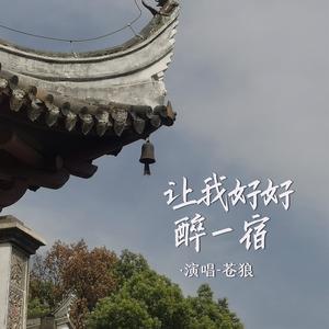 让我好好醉一宿