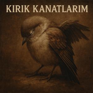 Kırık Kanatlarım