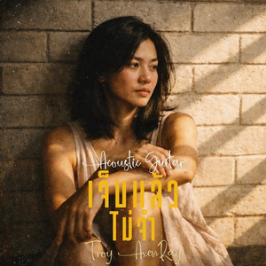 เจ็บแล้วไม่จำ (Acoustic Guitar)