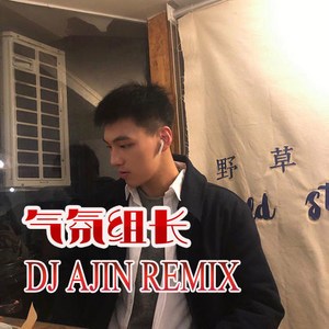 小哥哥电话来了啦(DJ版)