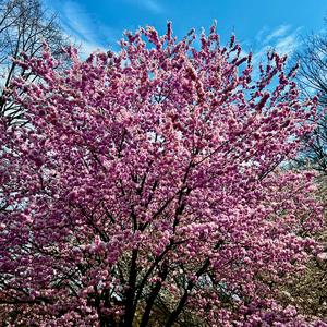 Grew (23.03.30.09.58)