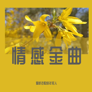 寂寞沙洲冷