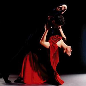 ''斗牛''//''BULL''