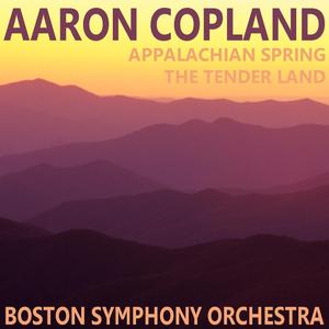 The Tender Land: II. Party Scene