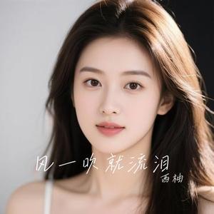 风一吹就流泪 (Cover 向思思)