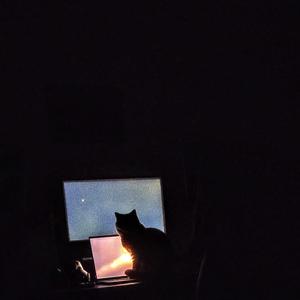 w oczekiwaniu na maj (feat. Kaia)