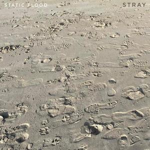 Stray