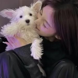 爱一点（翻自 王力宏，章子怡）