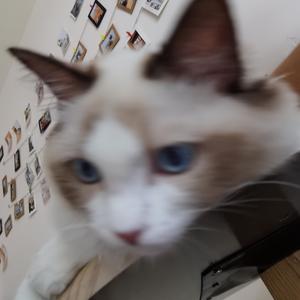 算了01：30了，明天再早睡⑧ (Prod.by Flowless)