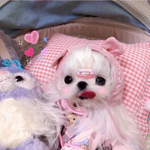 万有引力（翻自 汪苏泷）