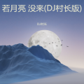 若月亮没来呀 (DJ村长 remix)