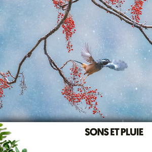 Épanchements émotionnels