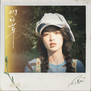 21g的芽