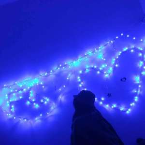 旅人（翻自 冯希瑶）（翻自 刘淑丹）