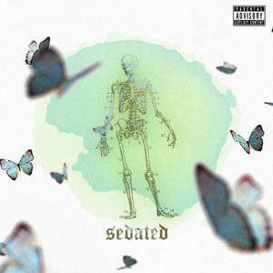 SEDATED (feat. Vjsjon)