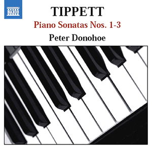 Piano Sonata No. 1: II. Andante tranquillo