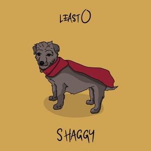 Shaggy