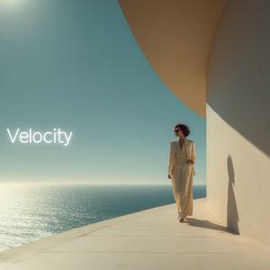 Velocity