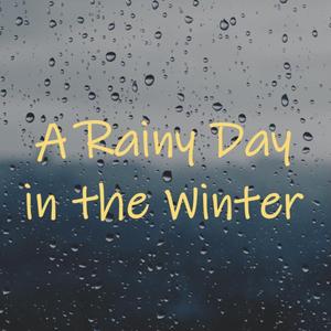 A Rainy Day in the Winter...