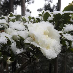 何も掴めない指先に / On Fingertips That Can Hold Nothing