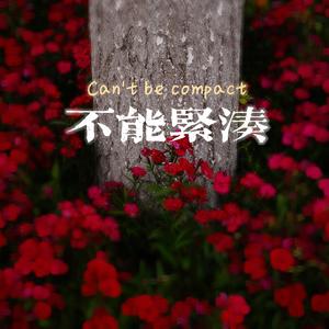 不能紧凑(Prod.by AhuxinBoy)