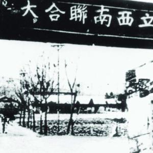 西南联大师生-西南联大校歌（ remix）