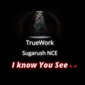I Know You See (feat. Sugarush NCE)