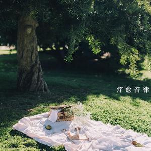 自然之声（放松纯音乐）