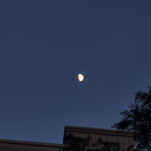 不鸽了-失控（南空 remix）