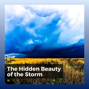 Soft Rain Sounds, Pt. 1