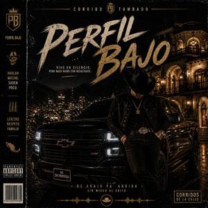 Perfil bajo