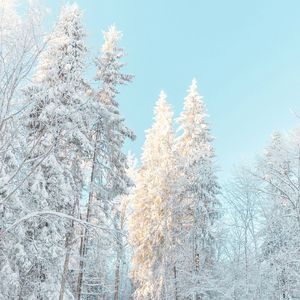 虎贲翼轸的雄壮