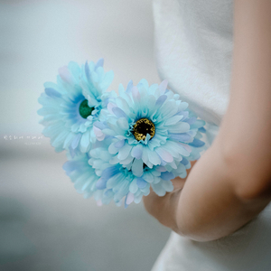 빗소리에 기대어