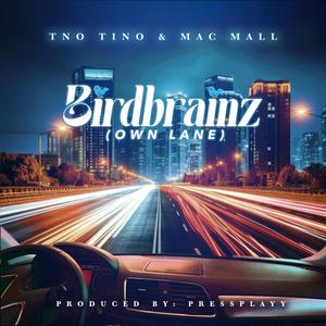 Birdbrainz (Own Lane)