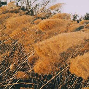 万里阳光不及你Demo