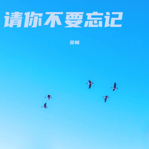 请你不要忘记 伴奏