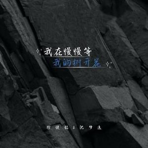 我在慢慢等我的树开花