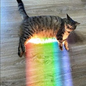 TALKING TO THE MOON（Dirll Remix）