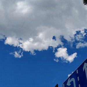 别来爱我live.wav