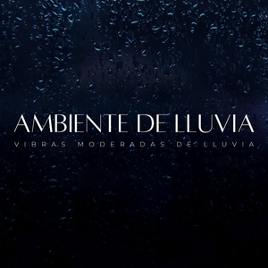 Lluvia De Tranquilidad