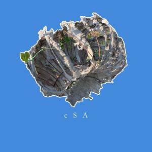 cSA （Feat.刘顺利）