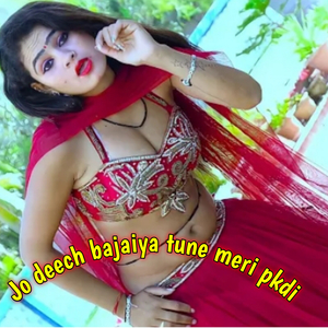 Jo deech bajaiya tune meri pkdi