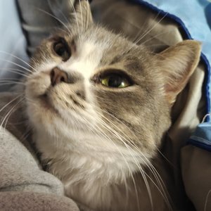 还好有你·其二