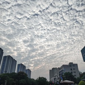 一路繁花，奔赴热爱