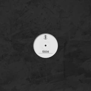 Magnetism (Original Mix)
