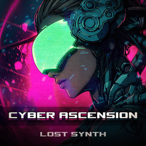 Cyberpsychosis