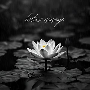 LOTUS ÇİÇEĞİ